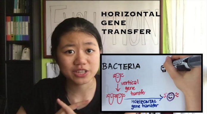 Singapore Student Deanna See Wins US$250,000 Scholarship With Her Antibiotic Video