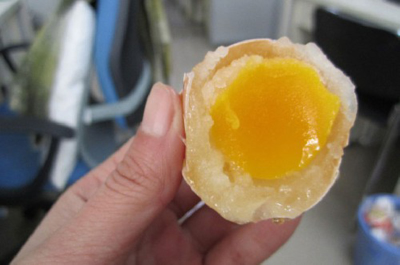 China Fake Egg