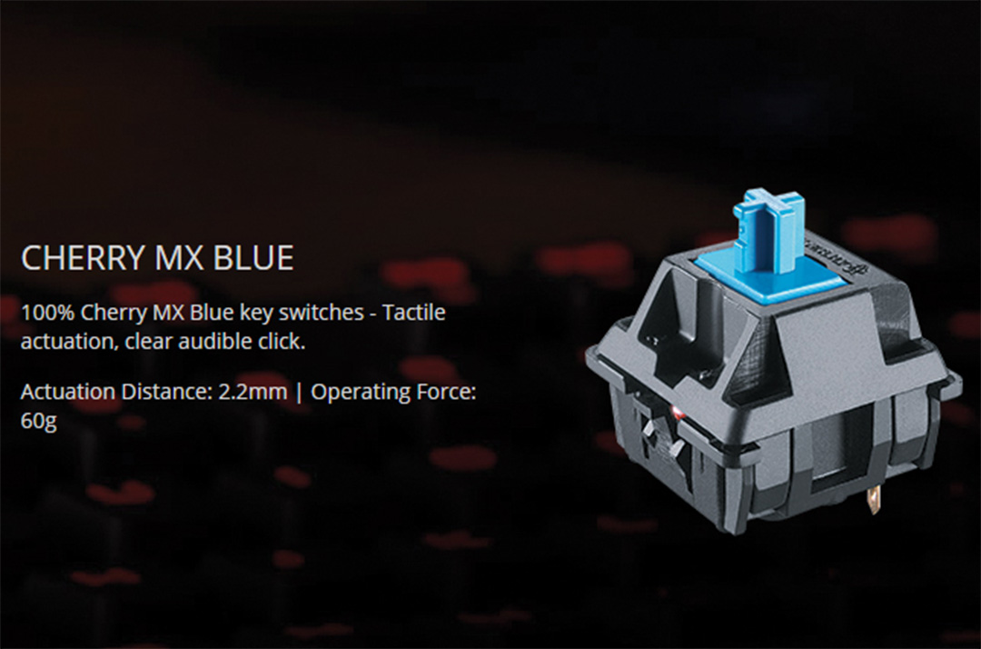 Cherry MX Blue key switches